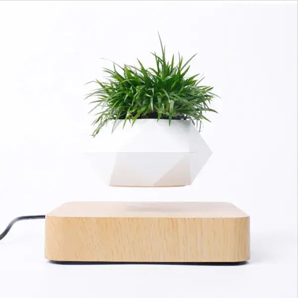 Floating Potted Plant Home Desk Decor