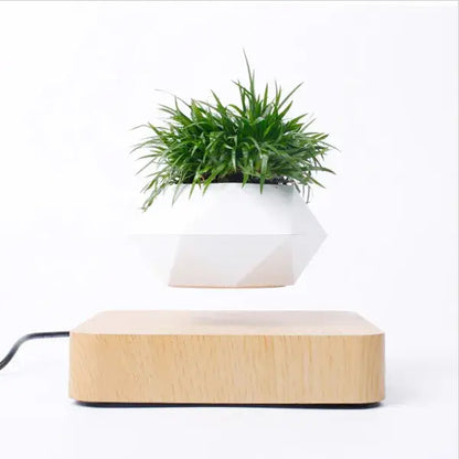 Floating Potted Plant Home Desk Decor
