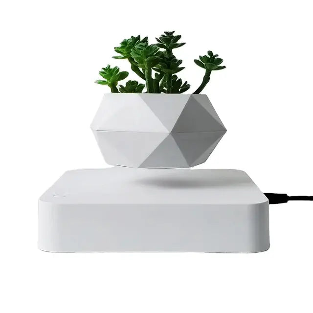 Floating Potted Plant Home Desk Decor