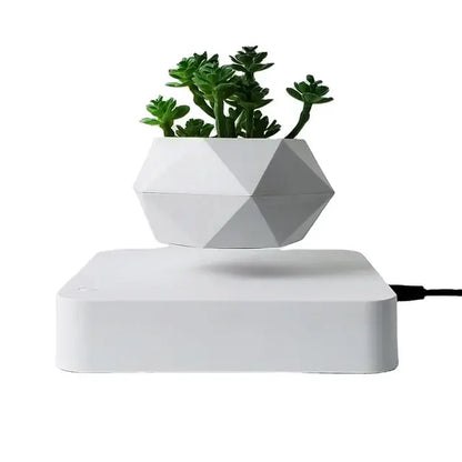 Floating Potted Plant Home Desk Decor