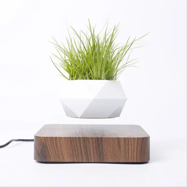 Floating Potted Plant Home Desk Decor