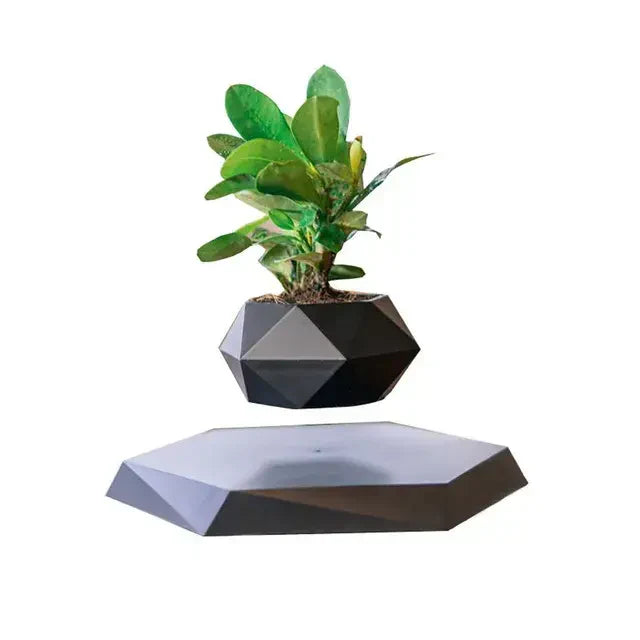 Floating Potted Plant Home Desk Decor