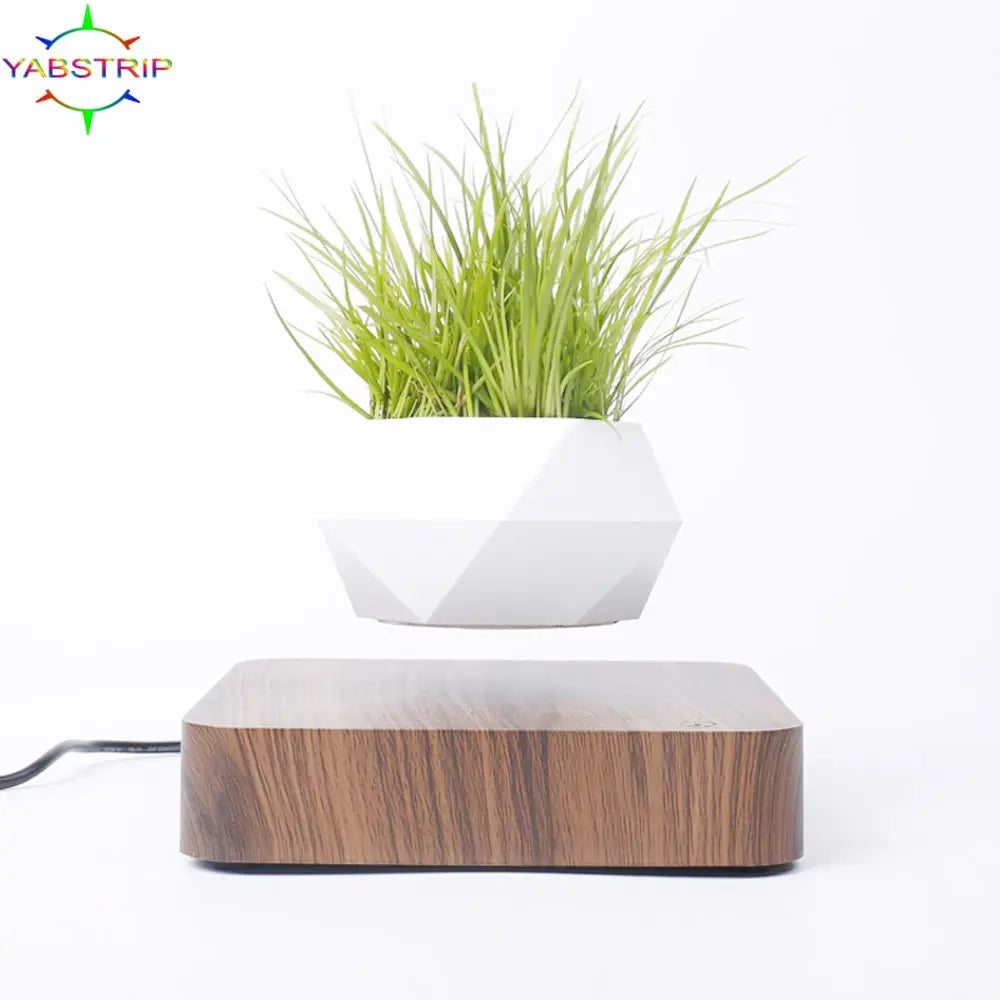 Floating Potted Plant Home Desk Decor