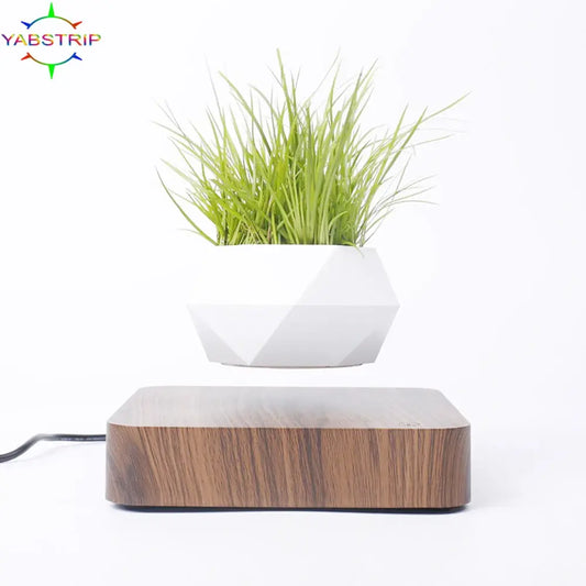 Floating Potted Plant Home Desk Decor